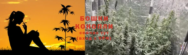трава Армянск