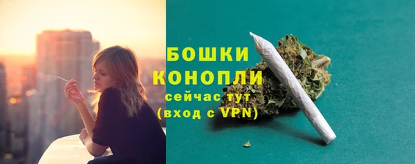 трава Армянск