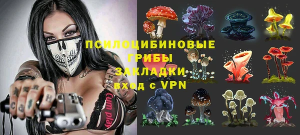 трава Армянск