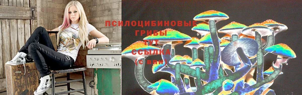 СК Аркадак